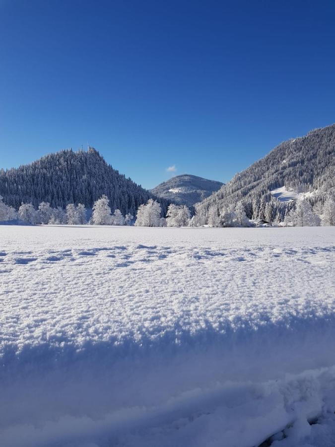 Landhaus Theresia Sankt Martin am Tennengebirge Eksteriør bilde